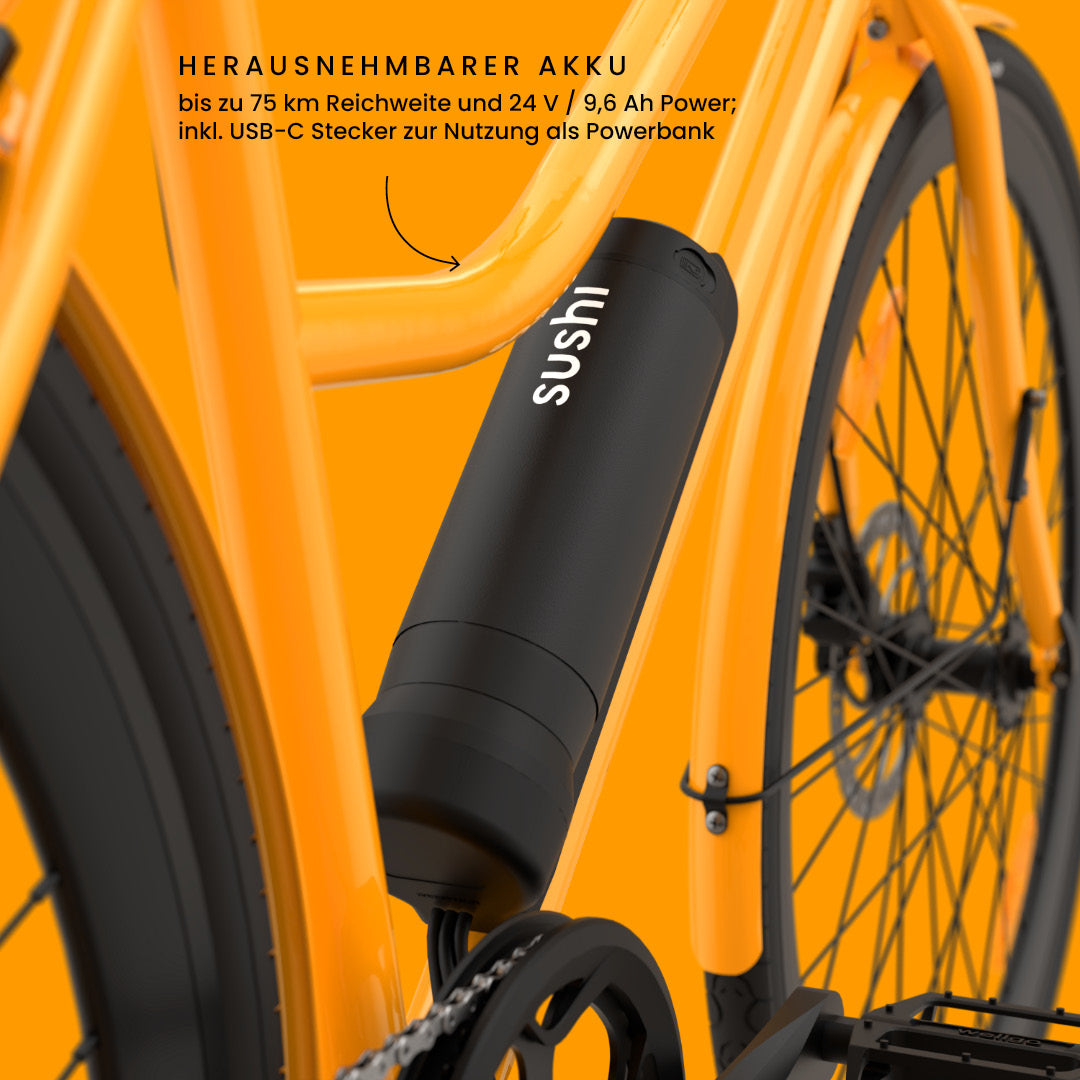 California Roll 3.0+ Lava: Fokus auf herausnehmbarem Akku mit bis zu 75 km Reichweite und USB-C-Anschluss zur Nutzung als Powerbank