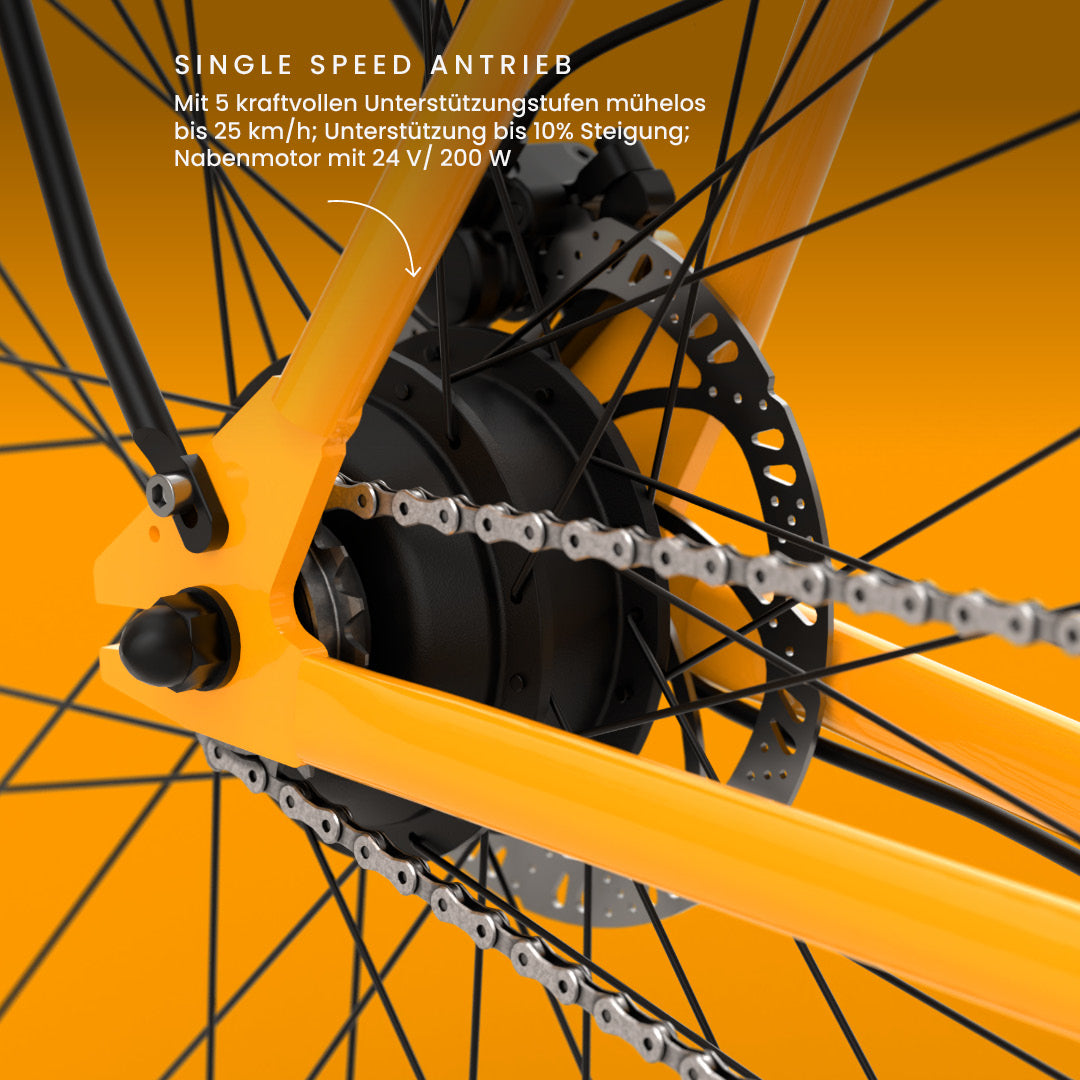 California Roll 3.0+ Lava: Fokus auf den Hinterradnabenmotor und wartungsfreien Single-Speed-Antrieb