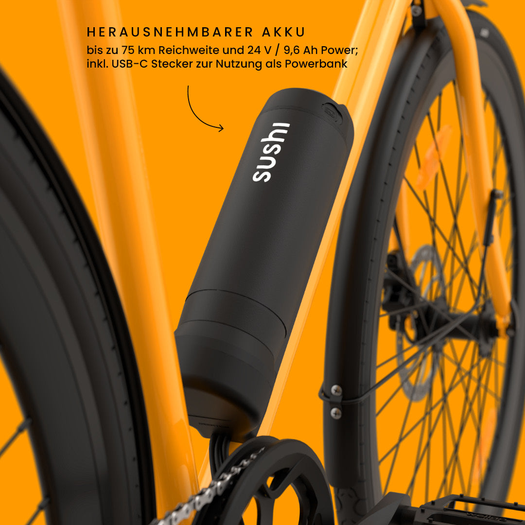 Maki 3.0+ Lava: Fokus auf herausnehmbarem Akku mit bis zu 75 km Reichweite und USB-C-Anschluss zur Nutzung als Powerbank