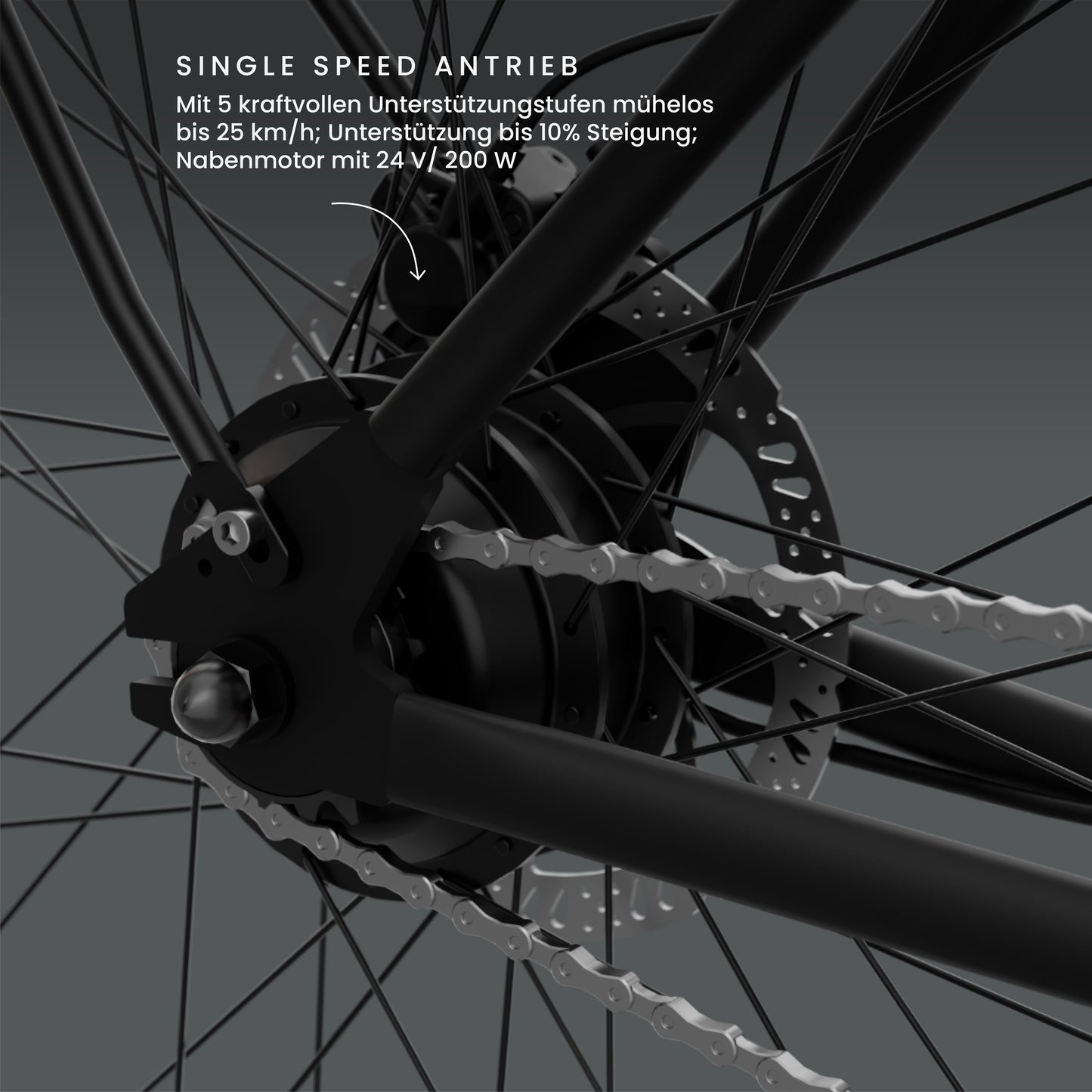 California Roll 3.0+ Black: Fokus auf den Hinterradnabenmotor und wartungsarmen Single-Speed-Antrieb