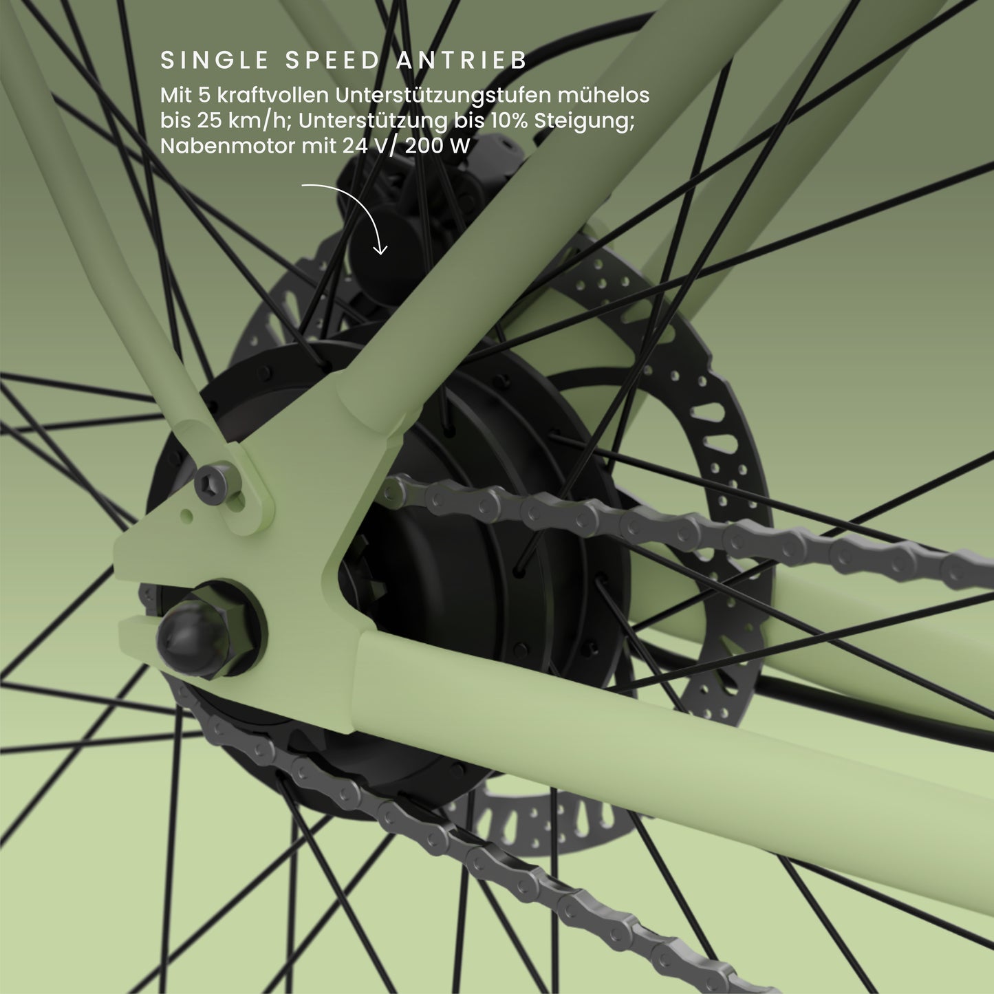 California Roll 3.0+ Matcha: Fokus auf den Hinterradnabenmotor und wartungsarmen Single-Speed-Antrieb