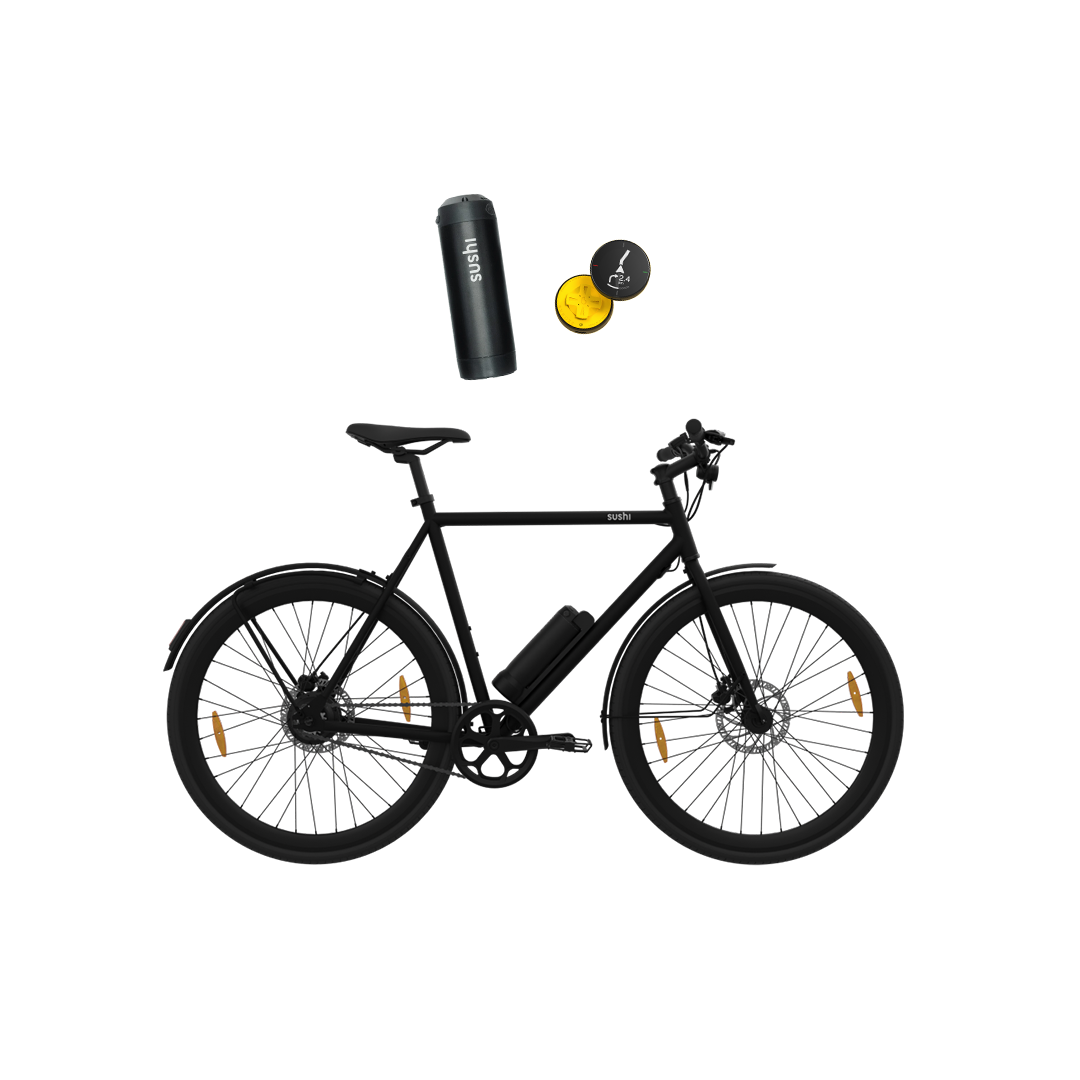 E-Bike Maki 3.0+ in schwarz im Long Distance Bundle mit Zusatzakku und Beeline Velo 2