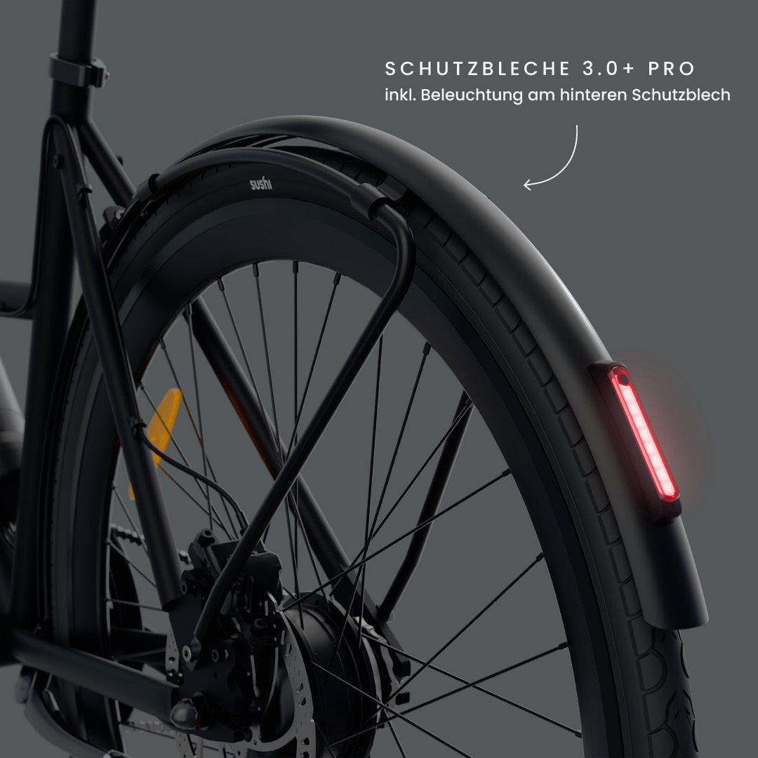 California Roll 3.0+ Black mit Fokus auf das hintere Schutzblech 3.0+ Pro mit integriertem LED-Rücklicht