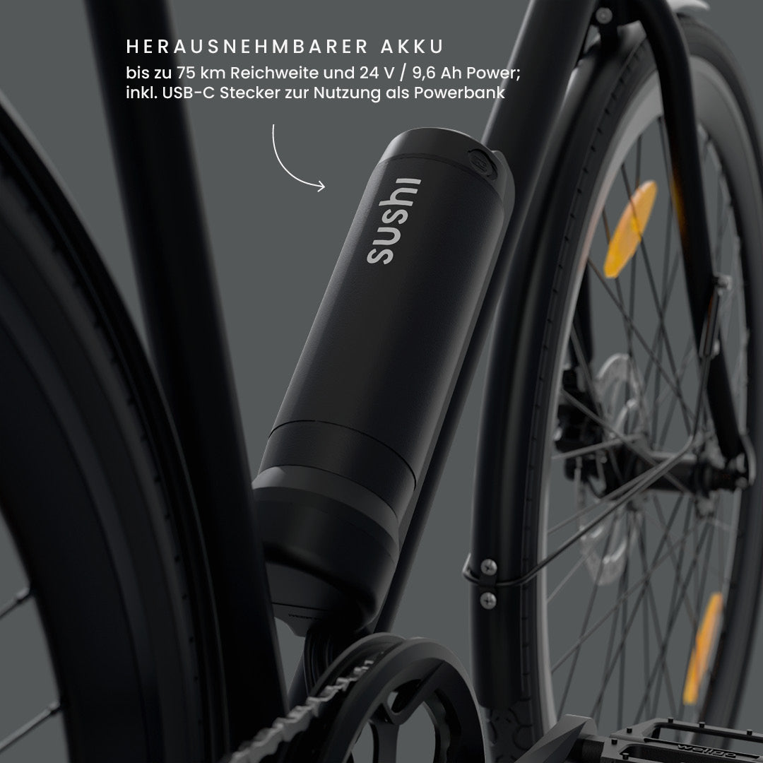 California Roll 3.0+ Black: Fokus auf herausnehmbaren Akku mit bis zu 75 km Reichweite, USB-C Anschluss für Powerbank-Nutzung