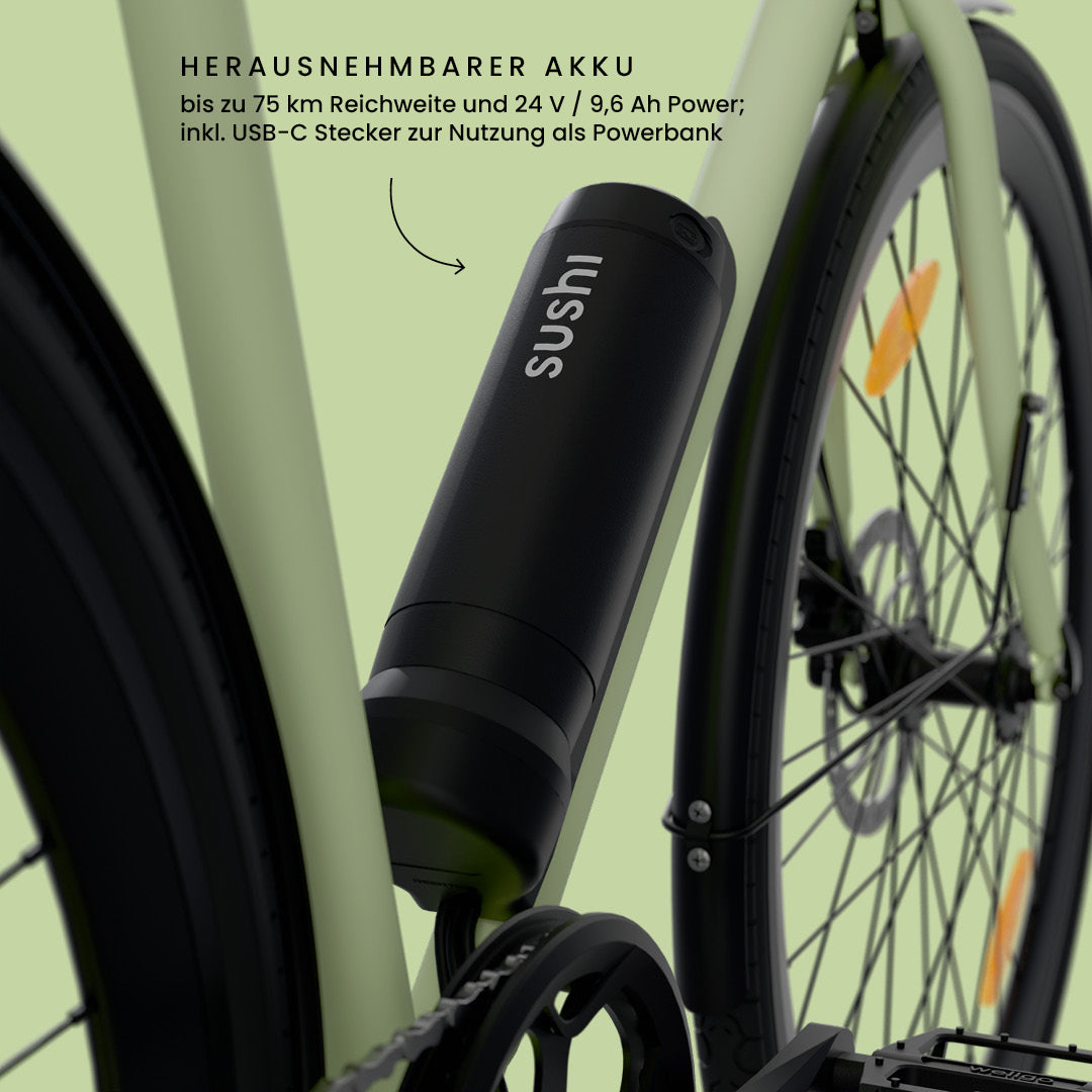 Maki 3.0+ Matcha: Fokus auf herausnehmbarem Akku mit bis zu 75 km Reichweite, USB-C Anschluss für Powerbank-Nutzung