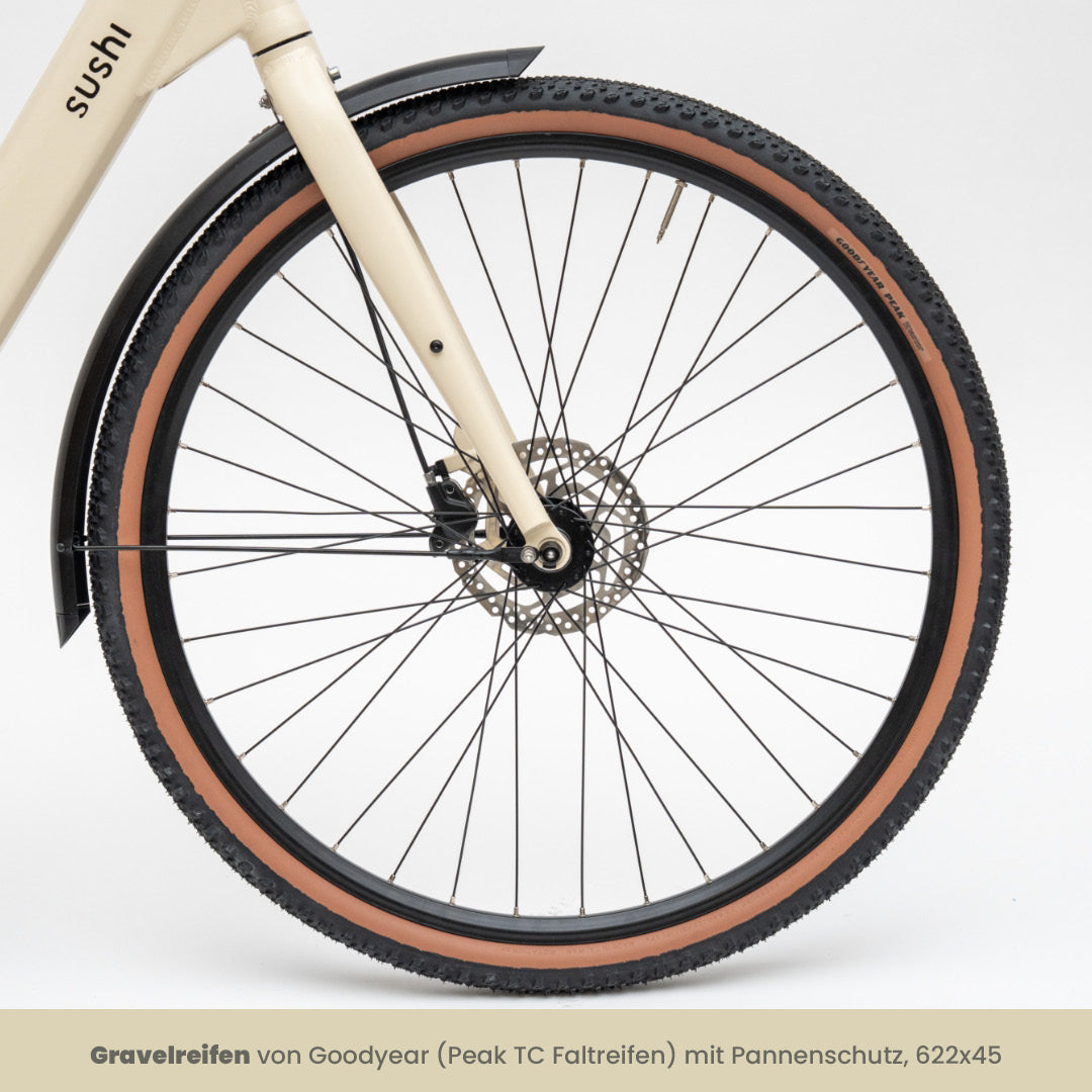 TABI Tiefeinsteiger, Vorderrad mit Goodyear Gravelreifen, Schutzblech und hydraulischer Scheibenbremse