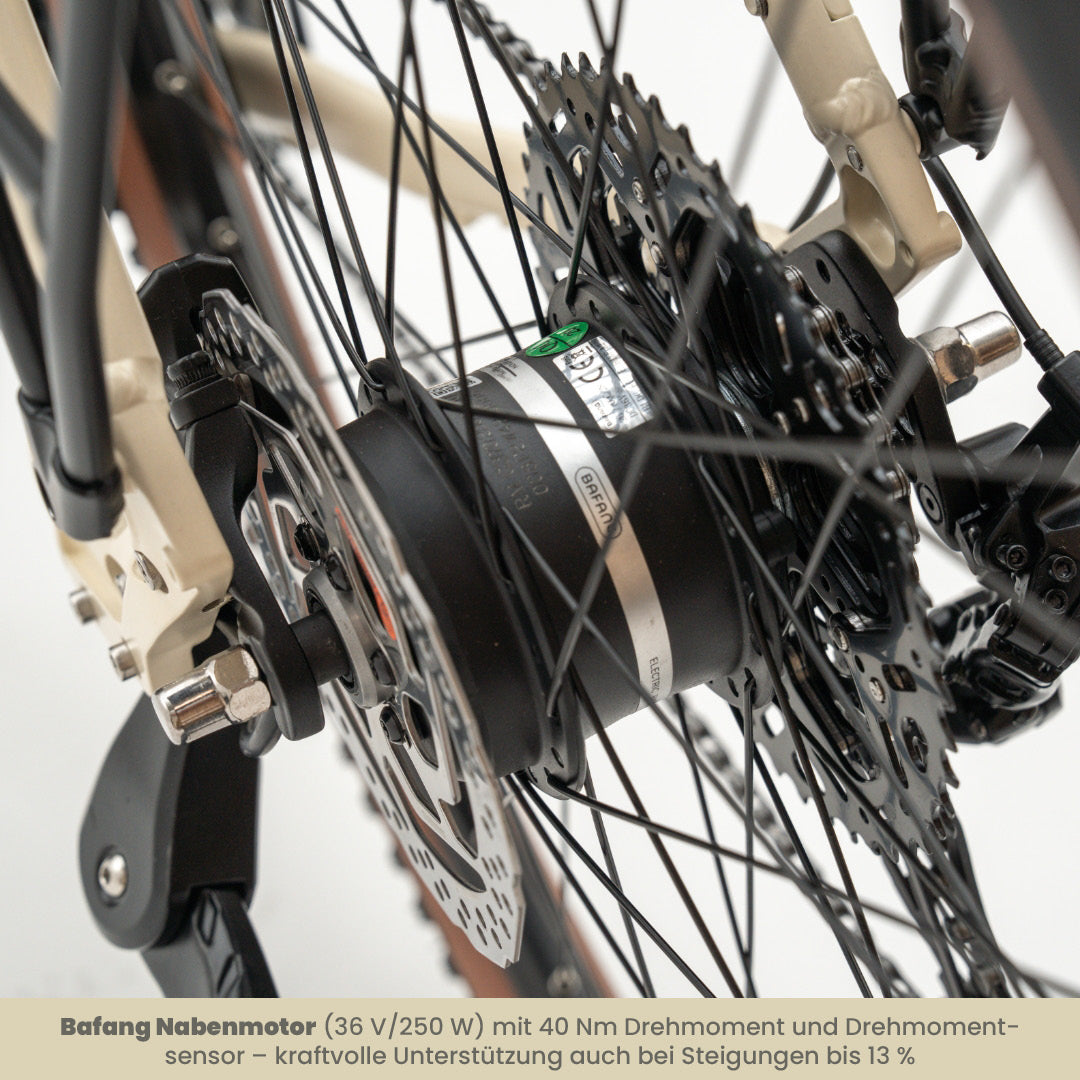 TABI Tiefeinsteiger, Detailaufnahme des BAFANG Nabenmotors im Hinterrad mit 40 Nm Drehmoment