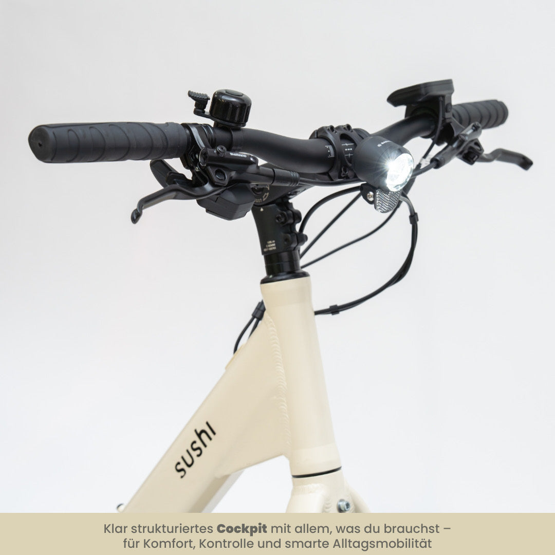 TABI Tiefeinsteiger mit ergonomischem Lenker, Frontlicht, Klingel und Shimano-Bremsen