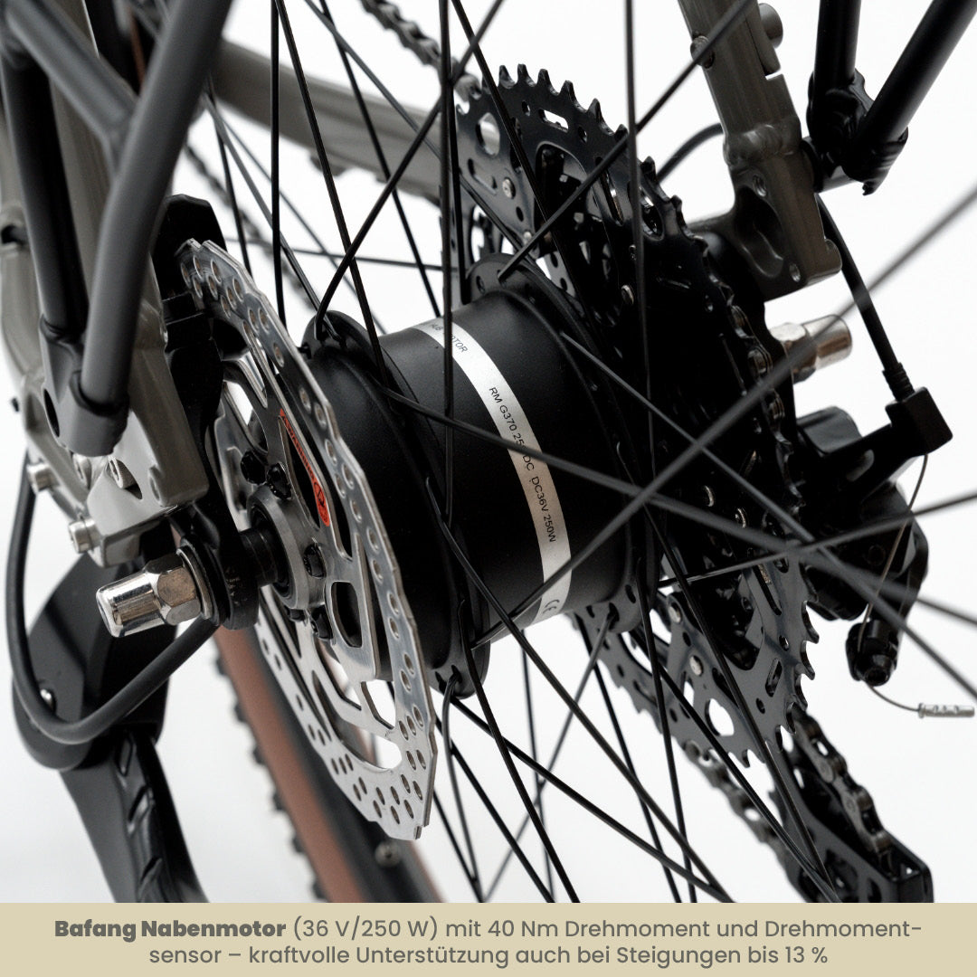 TABI Diamantrahmen, Detailaufnahme des BAFANG Nabenmotors im Hinterrad mit 40 Nm Drehmoment