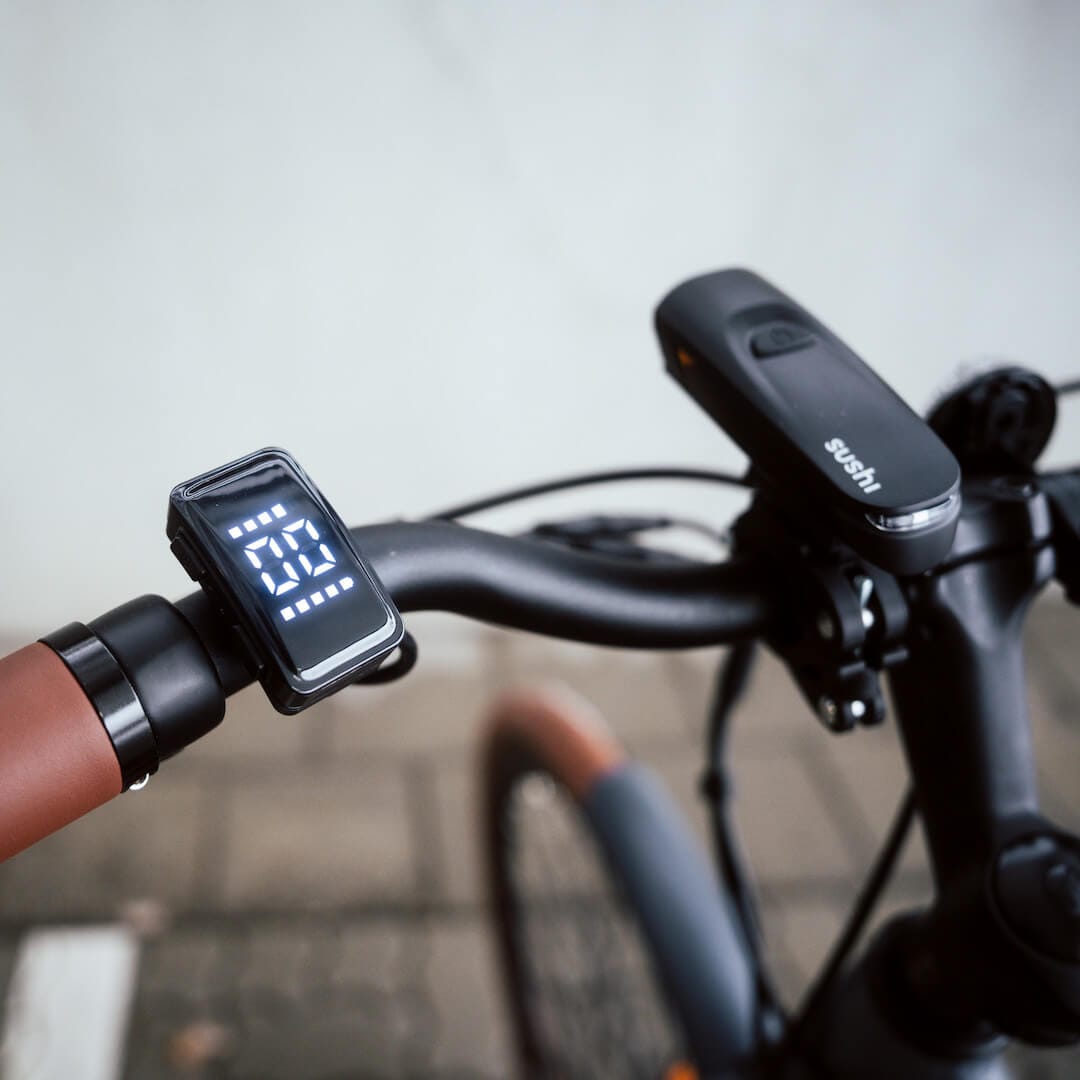Fokus auf Sushi E-Bike Lenker und eingeschaltetem Display