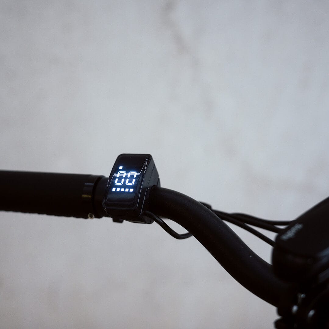 Fokus auf Sushi E-Bike Lenker und eingeschaltetem Display