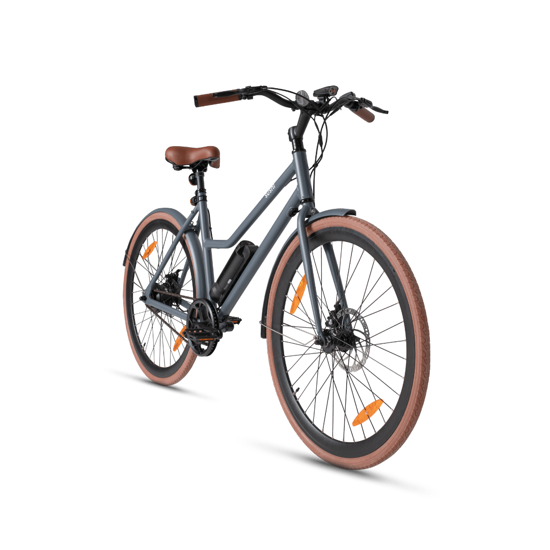 California Roll Plus Sushi E-Bike in grau frontal mit braunen Reifen, Sattel und Lenkergriffen