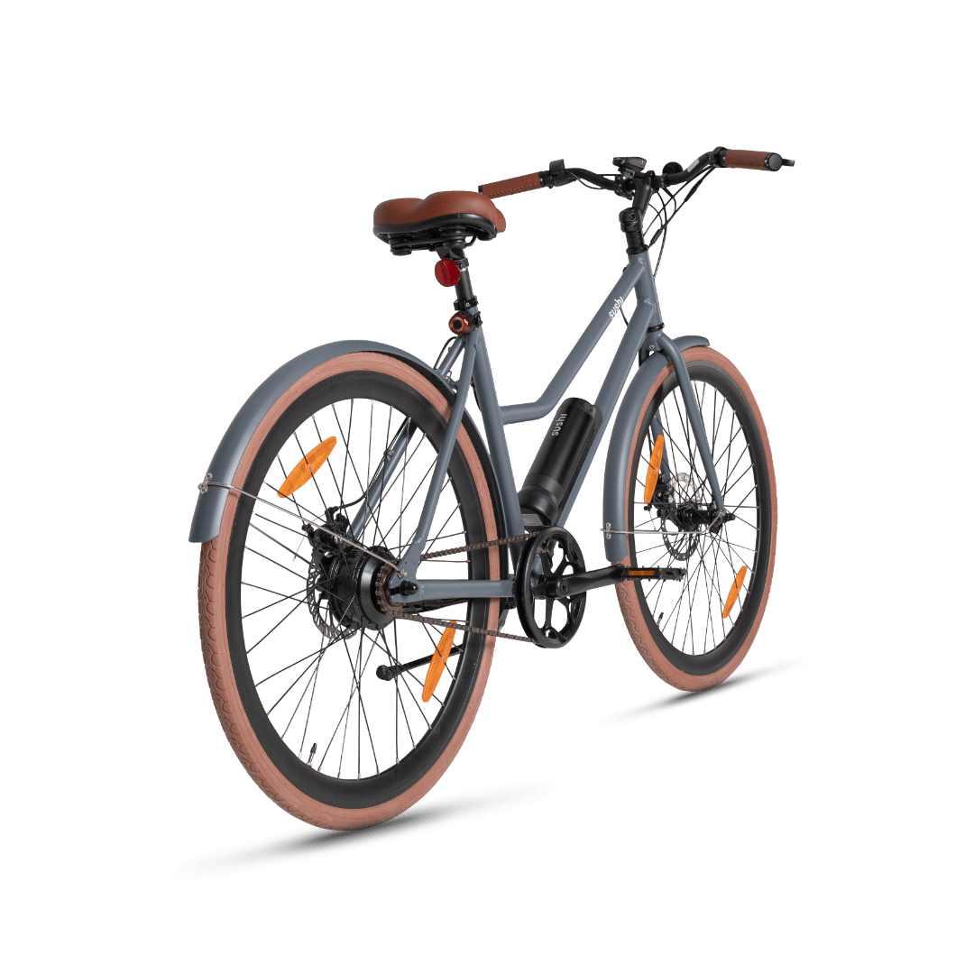 California Roll Plus Sushi E-Bike in grau von hinten mit braunen Reifen, Sattel und Lenkergriffen
