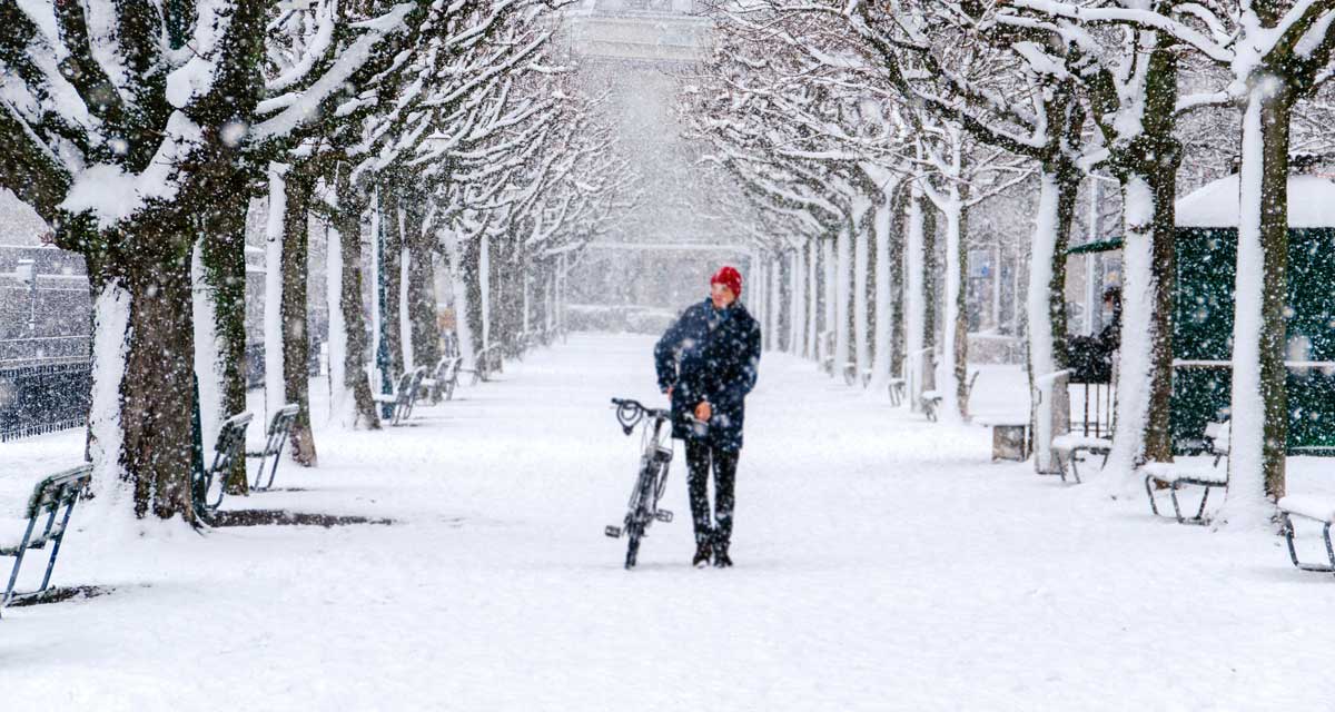 Eine Person schiebt ihr E-Bike durch eine verschneite Allee, während dichter Schneefall die Szenerie in eine ruhige Winterlandschaft tauch