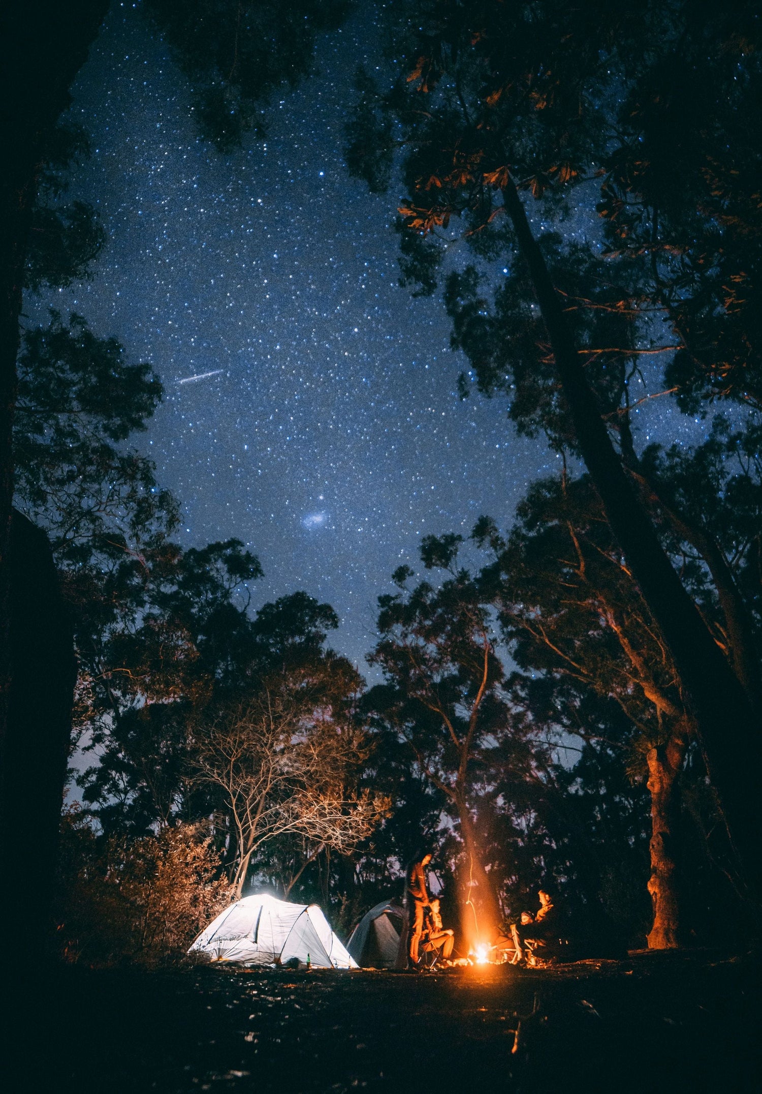 Zelte und Lagerfeuer unter sternenklarem Himmel – Outdoor-Abenteuer im Wald inmitten leuchtender Nachtatmosphäre.