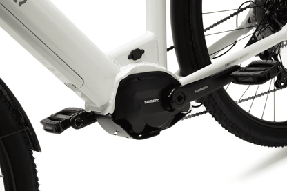 E-Bike BEEQ E850 Trekking - Tiefeinsteiger