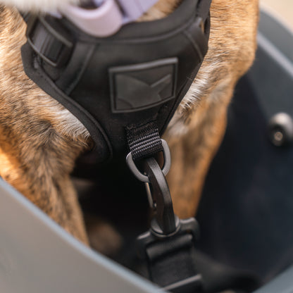 KVISP Hundefahrradsitz inkl. Gurt
