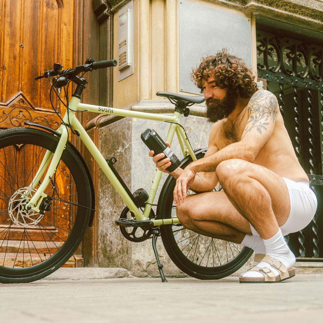 Herausnehmbarer E-Bike Akku – SUSHI BIKE Akku als Powerbank nutzen