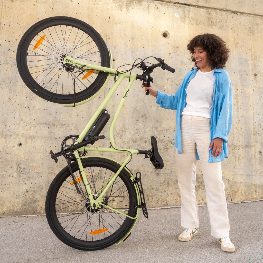 sushi bike fahrradanhänger SUSHI BIKES 3.0+ Gepäckträger