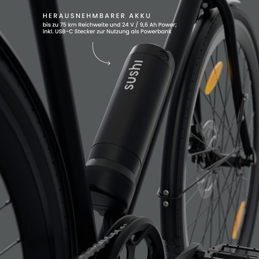 sushi maki 3.0 schutzblech E-Bike SUSHI BIKE 3.0+ – SUSHI BIKES