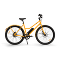 B-Ware E-Bike - California Roll 3.0+