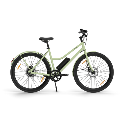 California Roll 3.0+ Matcha in der Seitenansicht