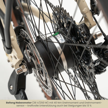 TABI Tiefeinsteiger, Detailaufnahme des BAFANG Nabenmotors im Hinterrad mit 40 Nm Drehmoment