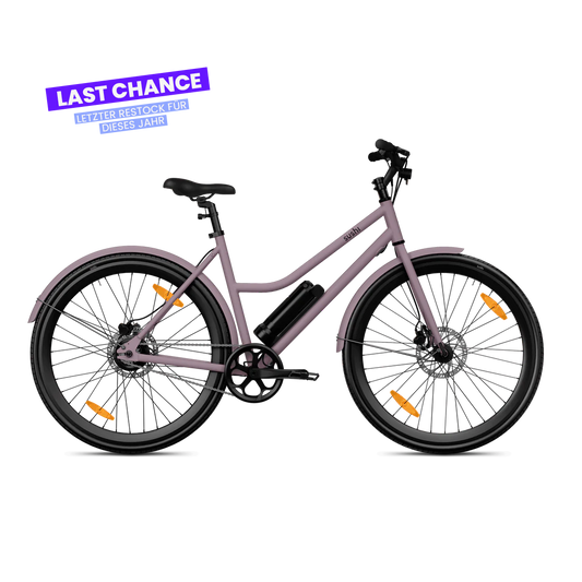 E-bike California Roll 3.0