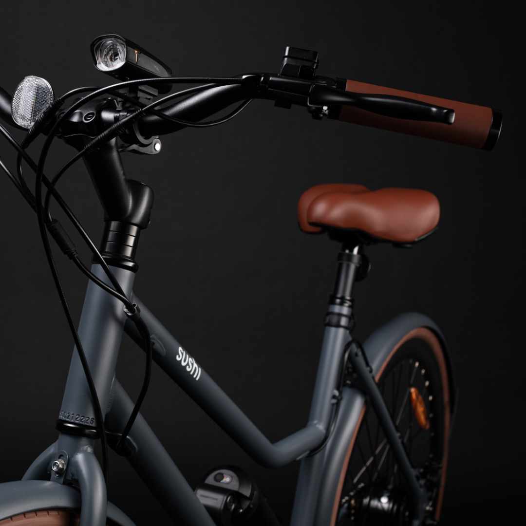 Brauner Komfortsattel montiert auf einem SUSHI BIKE, von vorne fotografiert