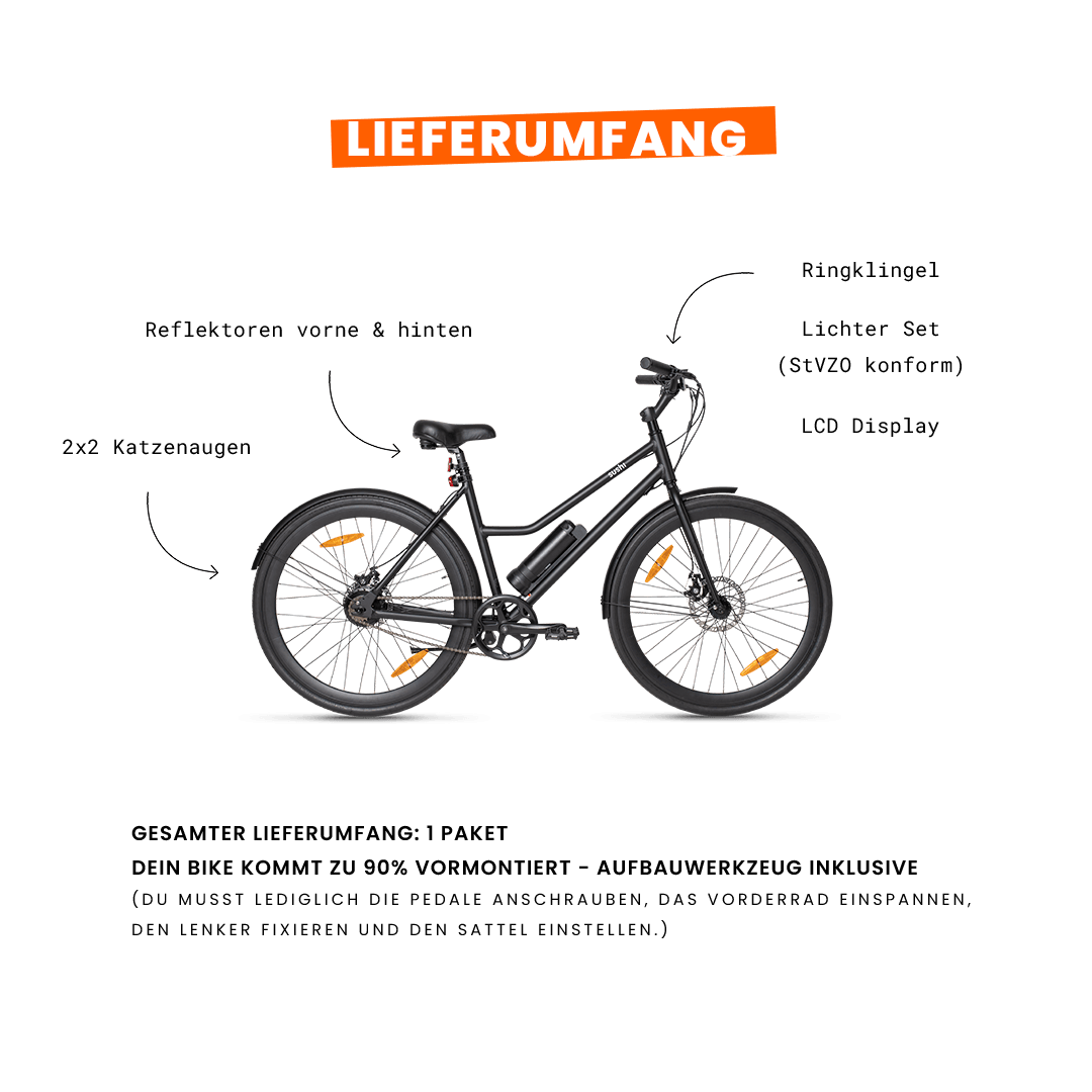 Lieferumfang Sushi Bike C3