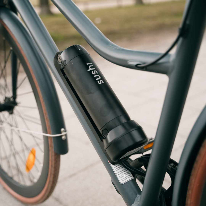 Sushi E-Bike Akku 