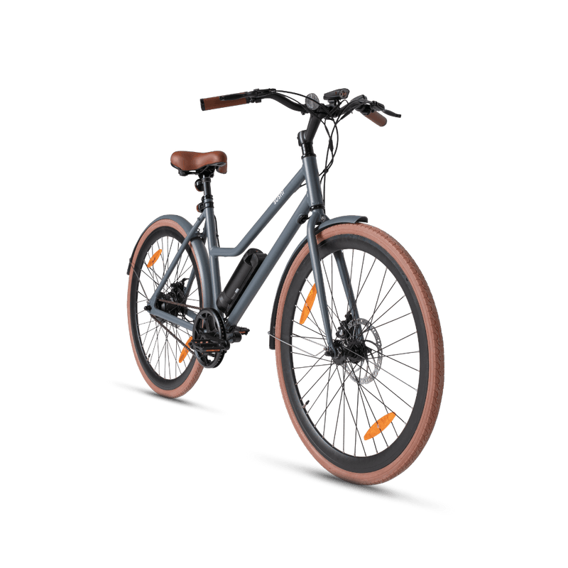 Graues Sushi E-Bike California Roll 