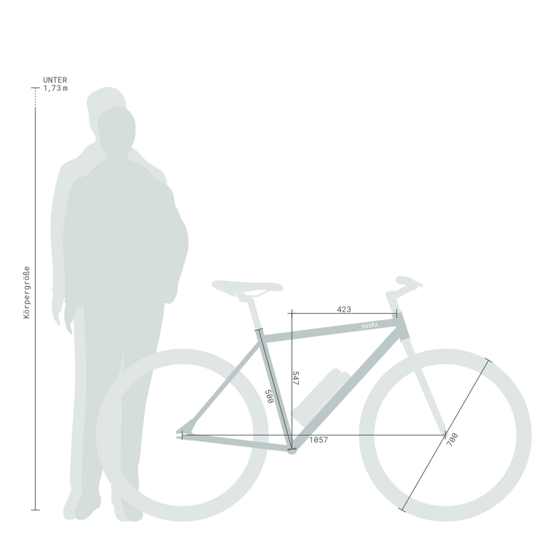 E-Bike Maki+